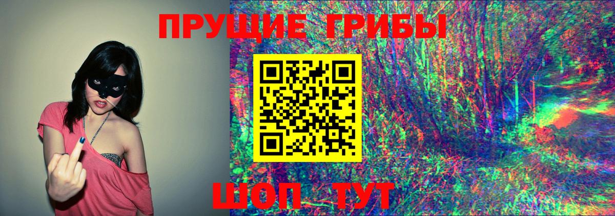 Кировск  Галлюциногенные грибы прущие грибы  Вход с VPN 