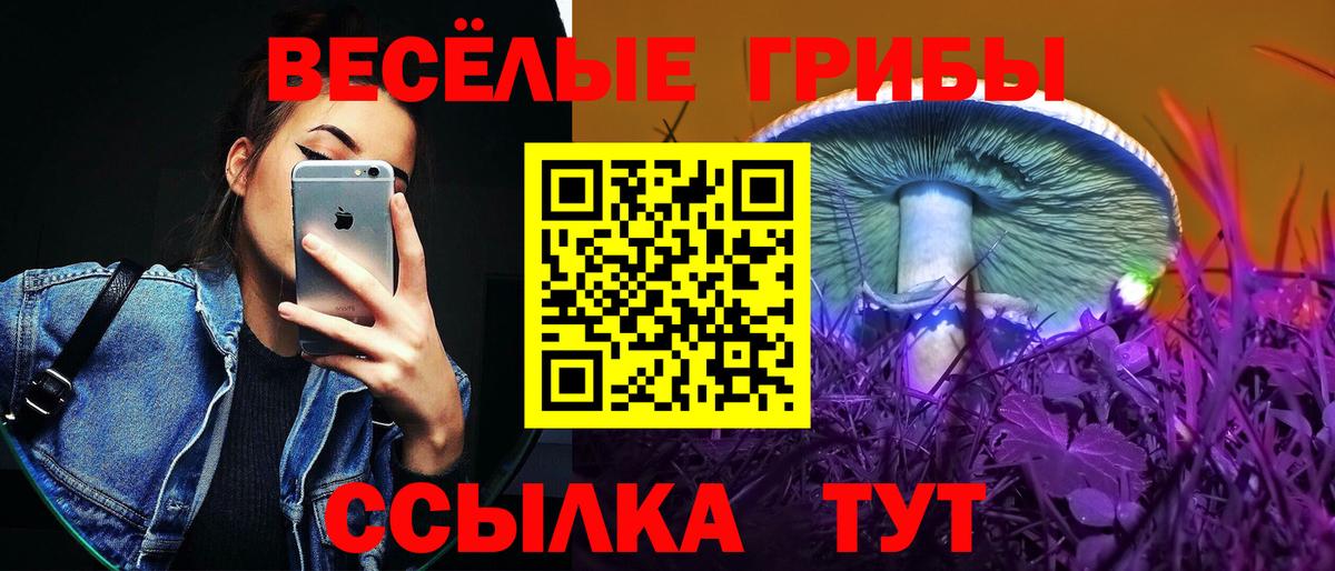 Галлюциногенные грибы Cubensis Кировск